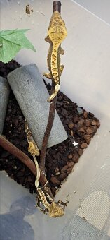 Pagekon riasnaty - 6