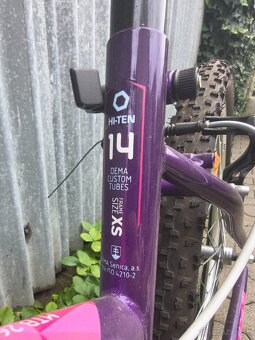 Dámsky horský bicykel DEMA ECCO 1.0 - 6