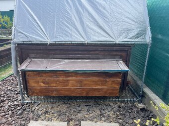 predam sliepky brown nick - 6