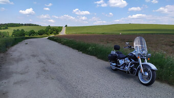 Harley-Davidson FLSTN Softail-Delux - 6