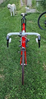 Dura - Ace Di2 Zanella - 6