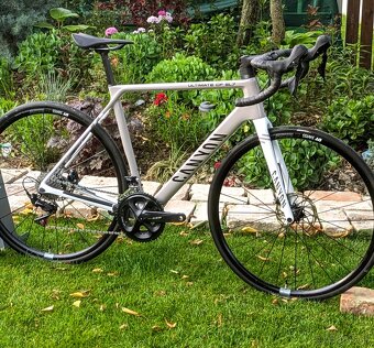 Canyon ultimate cf7 2022 - 6