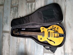 Epiphone wildkat - 6