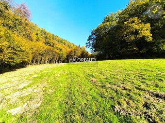 HALO reality - Predaj, pozemok 4955 m2 Považská Bystrica - 6