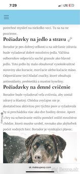 Borador šteniatko - 6