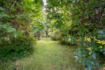 PREDAJ slnečný pozemok 850 m2 s chatou Devínska Nová Ves - 6