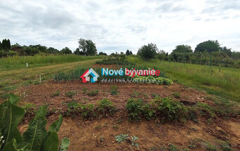 Predaj, záhradná chatka s pozemkom - Levice /Strážny vrch (N - 6