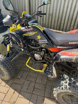Bashan 250 - 6