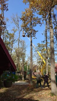 Arboristika, rizikove pílenie - 6