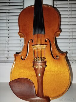 Viola - 6