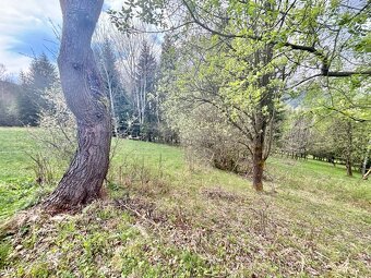 Predaj krásneho pozemku v jedinečnej prírode v obci Korňa - 6