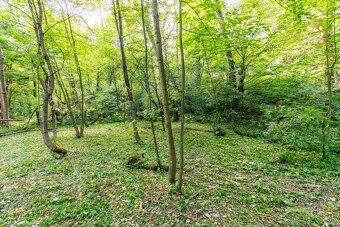 Pozemok v lone prírody s potôčikom– ideálny pre vašu vysníva - 6