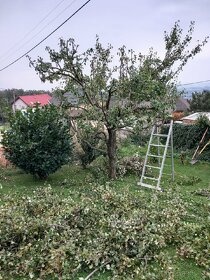 Záhradnícke služby - 6