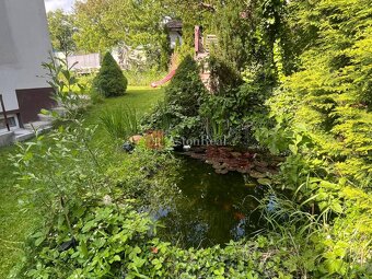 Rodinný dom s bazénom, altánkom, jazierkom, pozemok 617 m2,  - 6