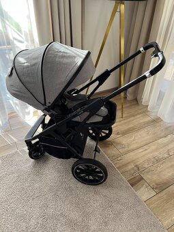 Cavoe Axo - 6