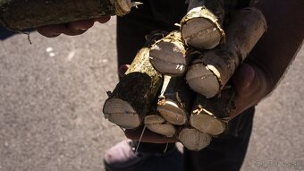 Štiepkovač špalíkovač za traktor s řemenovým převodem - 6