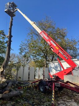 Orez a zrez stromov - 6