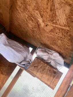 Voliera s105 h107 v160 - 6