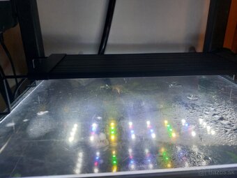 Predam WRB svetlo na akva. - 6