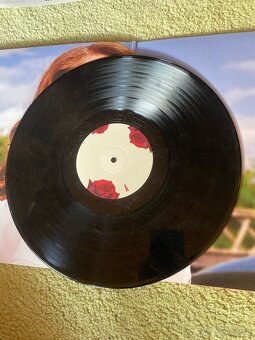 Lana Del Rey LP-Born to die - 6