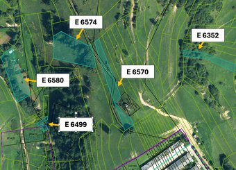 Liptovské Revúce 7.964 m2 LESY a POĽNOHOSPODÁRSKA pôda - 6