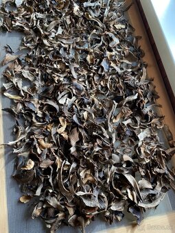 Sušené kozáky - 6