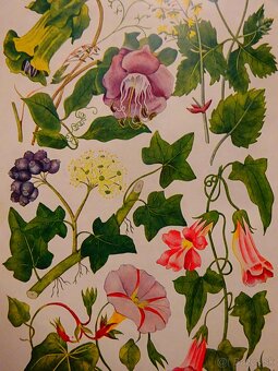 Praktická hospodynka I.-II., vydaná 1927 - 6
