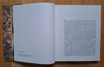 Slovenske jaskyne - 6