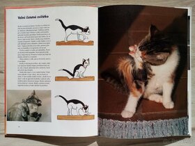 Moja prvá knižka o mačkách-Ingrid Andersson - 6