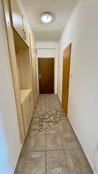 4 IZBOVÝ TEHLOVÝ BYT - HLINKOVÁ - 6