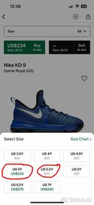 Nike KD 9 Game Royal (GS) - 6