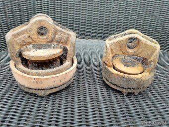 Lesenarske žaby,spojky - 6