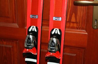 lyže dynastar Speedzoon 153 cm - 6