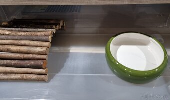 Rack- Gottlieb Reptiles - 6