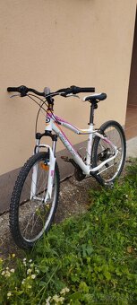 Kellys vanity 26" - 6