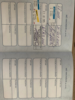 Zlatý retriever - 6