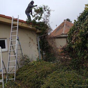 Záhradnícke práce, záhradnícke služby - 6