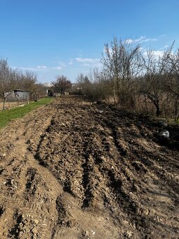 Kosenie ,mulčovanie - 6