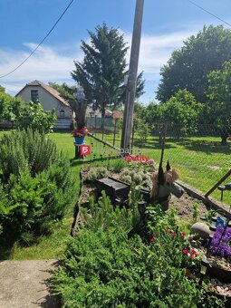 (F149-12-REMAa) Rodinný dom v obci Čiližská Radvaň - 6