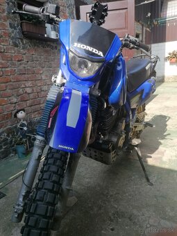 Honda nx 650 Dominator - 6
