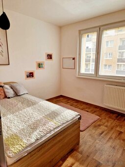 2 izbový byt do dlhodobého prenájmu - 6