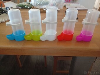 predám kanariky - 6