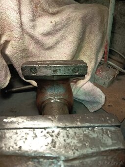 Zverák york 150 - 6