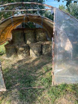 Seno tohtoročné - 6