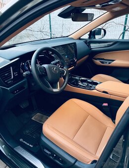 Lexus NX 350 - 6