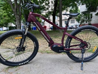 Crussis one guera 7.8 S - 6
