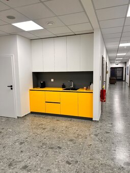 Krásny priestor s veľkou terasou - 6