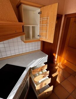 Kuchyňská linka smrk masiv se spotřebiči,5666 - 6