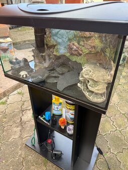 Akvárium DIVERSA 54L+komplet prislusenstvo - 6