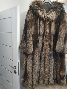 Strieborná liska - 6